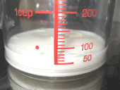 �J�t�F�I���@�~���N�̗�