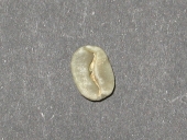 �u���{��