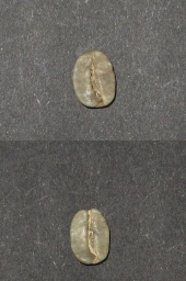 �u���[�}�E���e�� �n���C�R�i