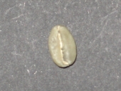 ���J�@�C���K�`���t�F