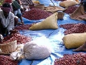 �������@