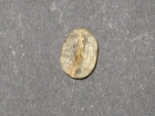 �R�[�q�[��