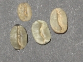 �R�[�q�[��