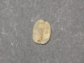 �����h�m�[�{