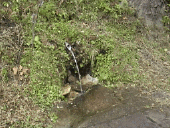 �����̐���