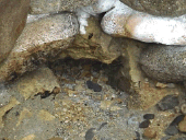 �����̐���