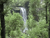 ���ÒÐ���