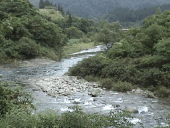 ���ÒÐ���