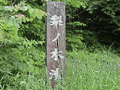 ���̖ؐ���