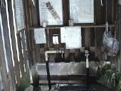 ���h���X�̐�