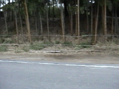 ���h���X�̐�