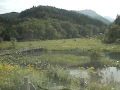 �����̐���