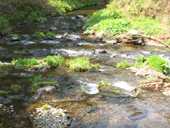 ���R���@�V��̐���