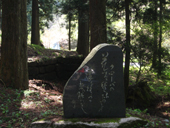 ���R���@�V��̐���