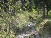 ���R���@�V��̐���