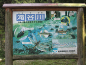 ���R���@�V��̐���