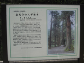 ���R���@�V��̐���