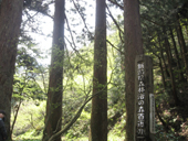 ���R���@�V��̐���