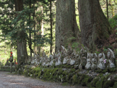 ���R���@�V��̐���