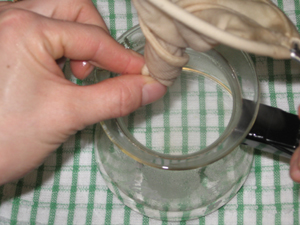 �l�������