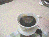 �R�[�q�[���ɊO���͖���