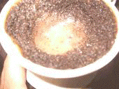 �R�[�q�[���͂��蔫��ɂȂ�܂������H