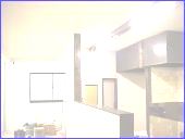 ���������R�[�q�[�V���b�v